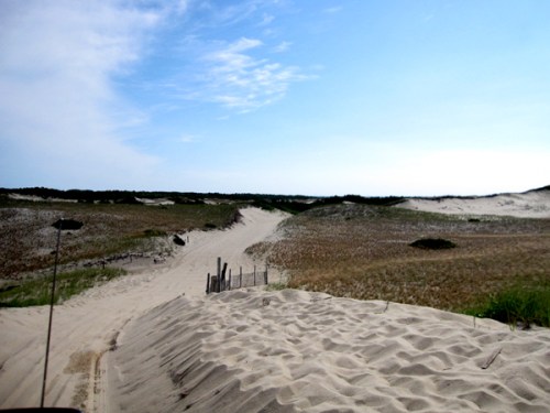 Cape 0710 dune 3