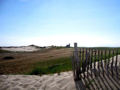 Cape 0710 dune 4