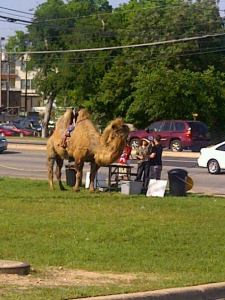 camel riverside parker 033112