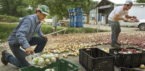 brenton johnson by Barrera